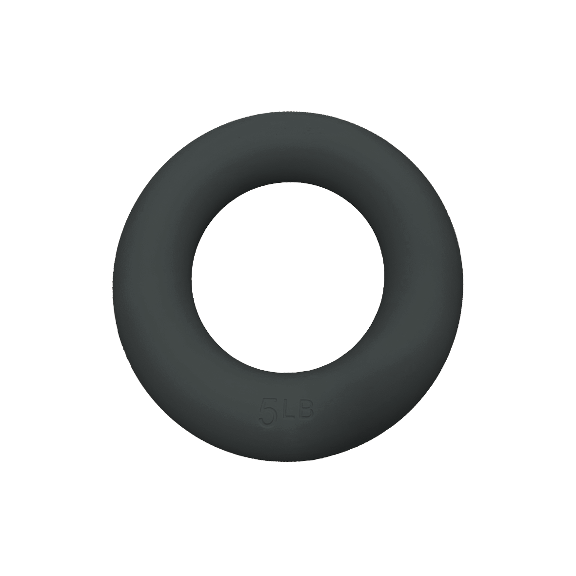 Pilates Weighted Power Ring