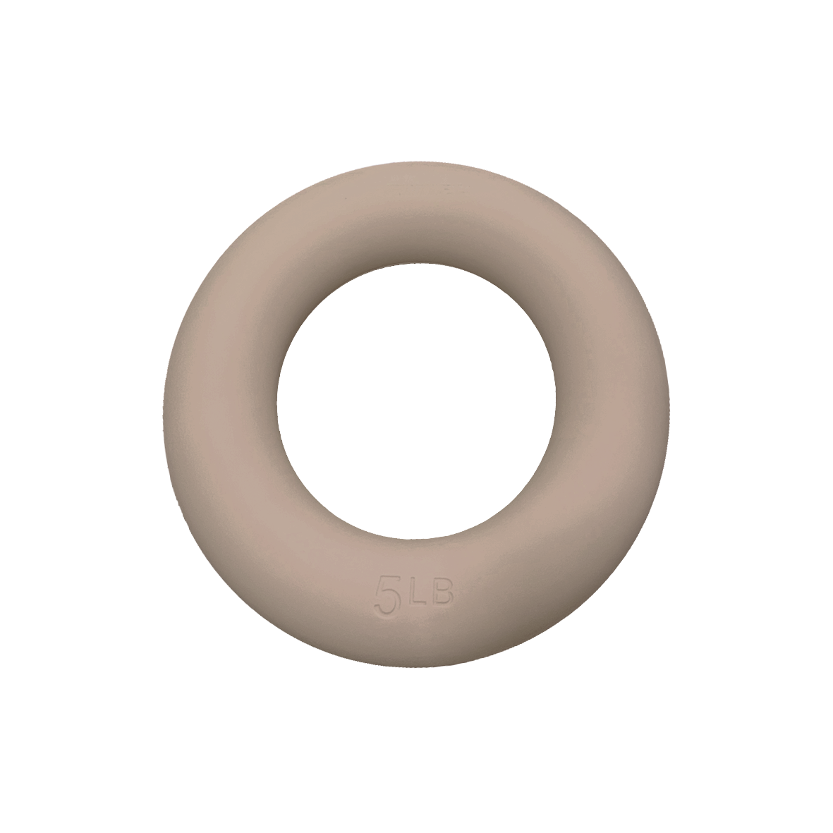 Pilates Weighted Power Ring