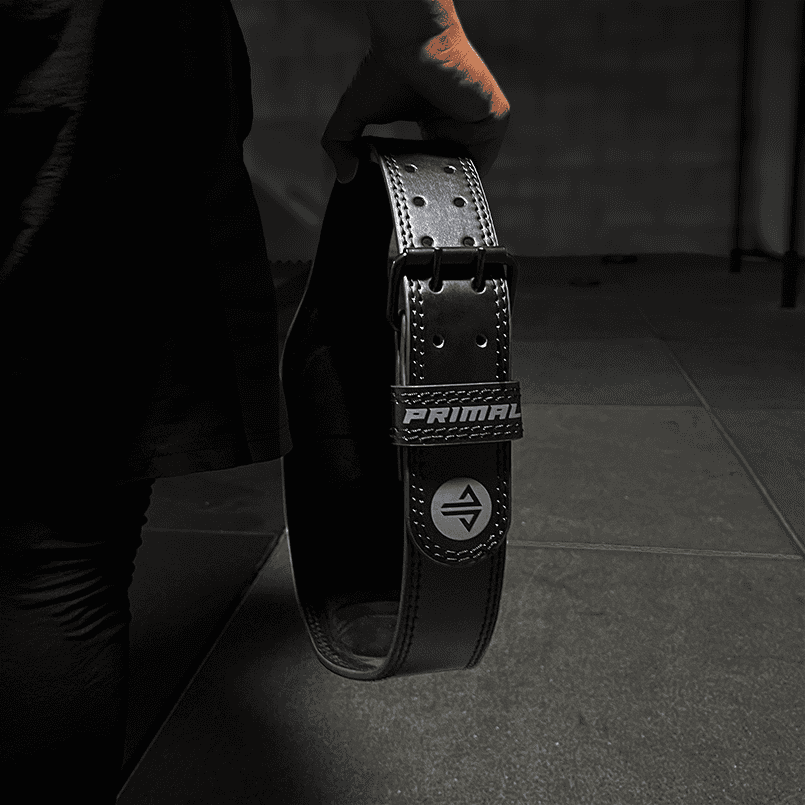 Stealth Fighter Belt